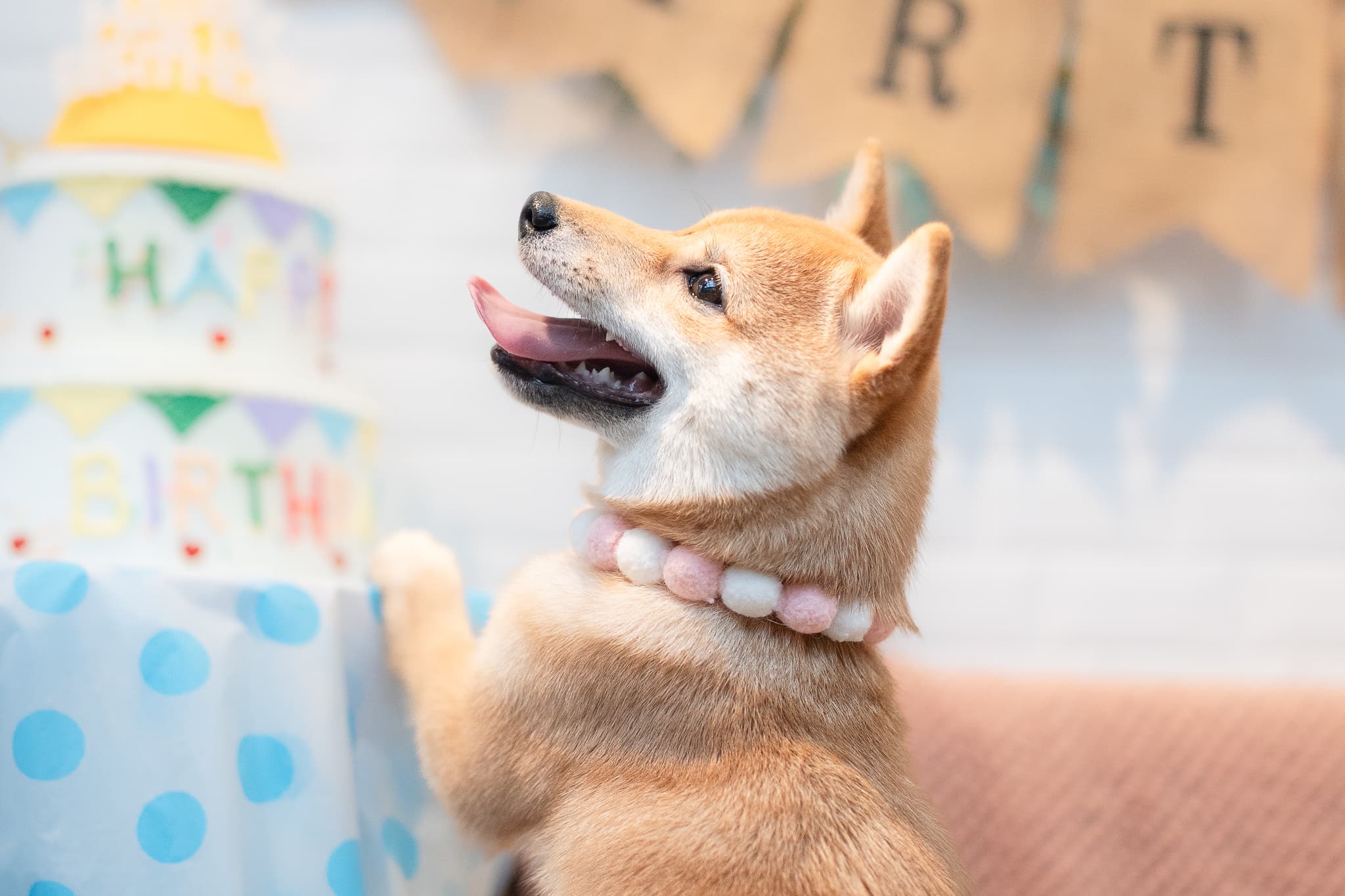 Miri 靠蛋糕擺出生日姿勢